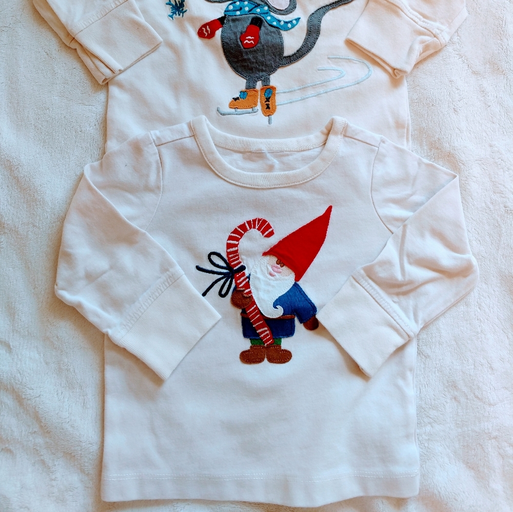 Hanna Andersson 2 cotton tees - Picture 2 of 2